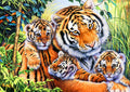 Lily's Pride – 1000 Piece Jigsaw Puzzle (Bluebird Puzzle)