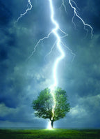 Lightning Striking a Tree – 1000 Piece Jigsaw Puzzle (Eurographics)