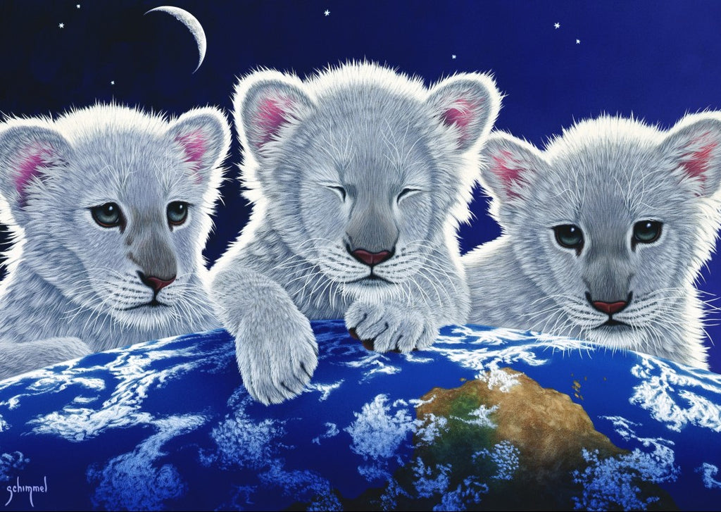 Secret, Mystery and Hope by Schim Schimmel – 1000 Piece Jigsaw Puzzle (Grafika)