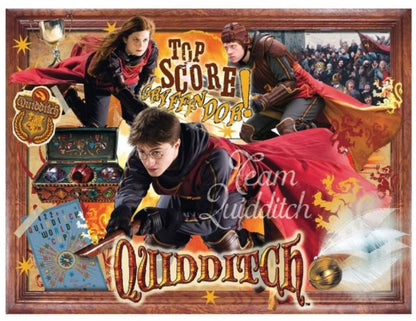 Winning Moves 02497 Harry Potter (TM) - Quidditch Jigsaw Puzzle