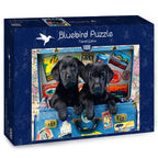 Travel Labs – 1000 Piece Jigsaw Puzzle (Bluebird Puzzle)
