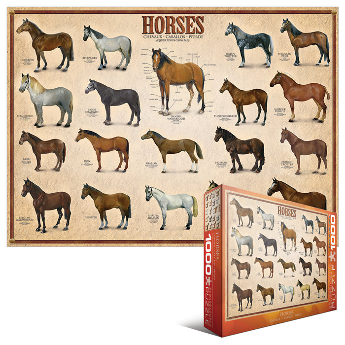 Horses – 1000 Piece Jigsaw Puzzle (Eurographics)