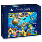 Turtle Beach – 1000 Piece Jigsaw Puzzle (Bluebird Puzzle)