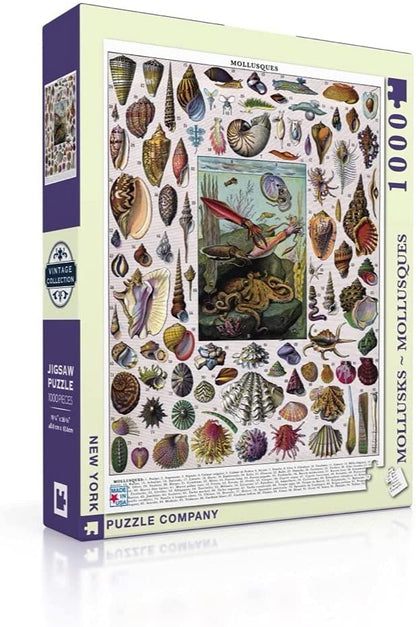 New York Puzzle Company - Vintage Images - Mollusks - 1000 Piece Jigsaw Puzzle
