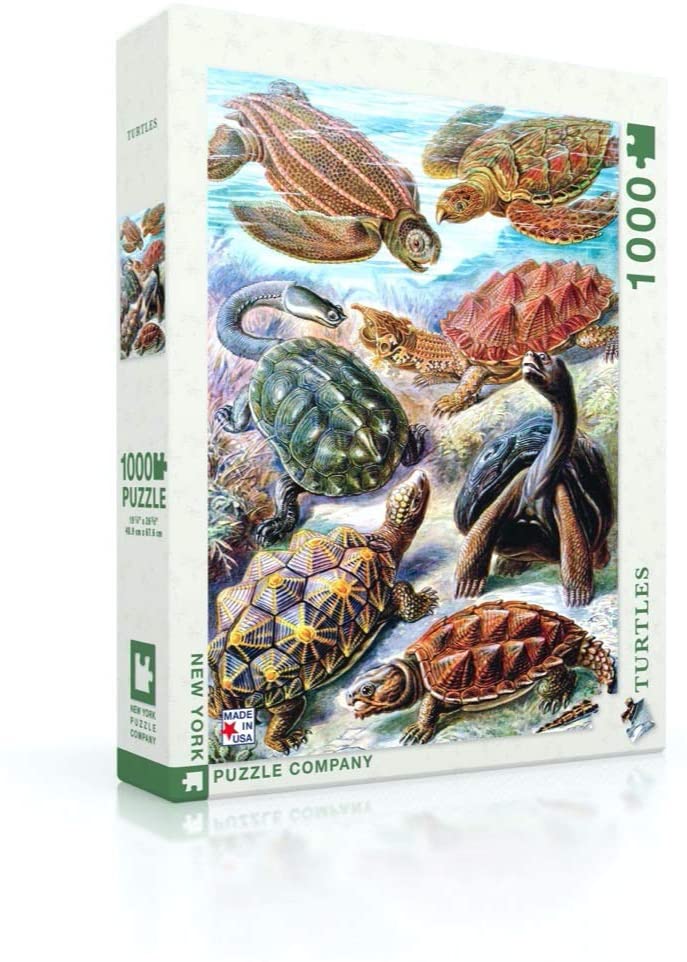 Turtles by Vintage Images – 1000 Piece Jigsaw Puzzle (New York Puzzle Company) - Completed Puzzle