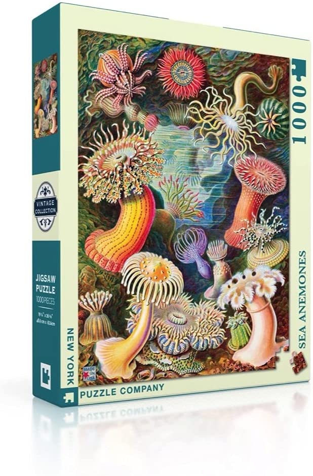 New York Puzzle Company - Vintage Images - Sea Anemones - 1000 Piece Jigsaw Puzzle