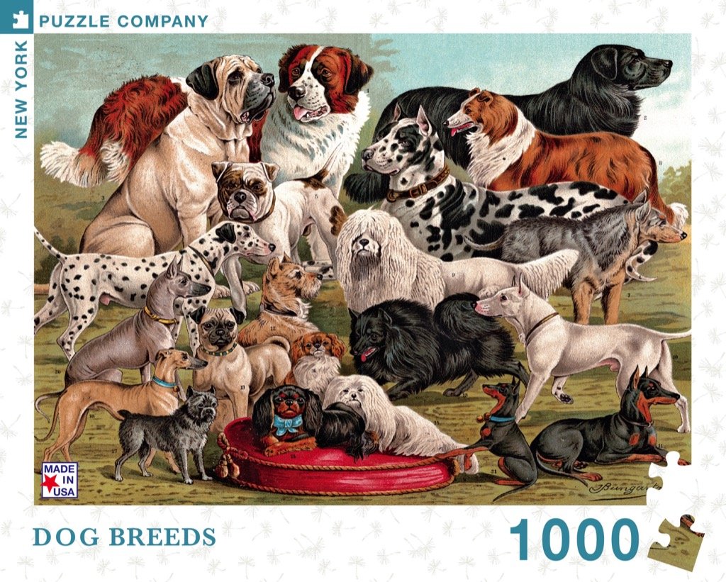 New York Puzzle Company - Dog Breeds - 1000 Piece Jigsaw Puzzle
