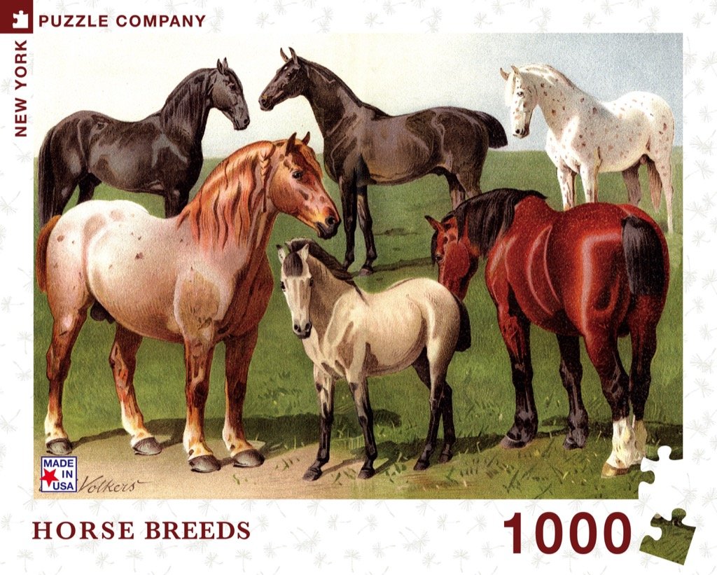 New York Puzzle Company - Horse Breeds - 1000 Piece Jigsaw Puzzle