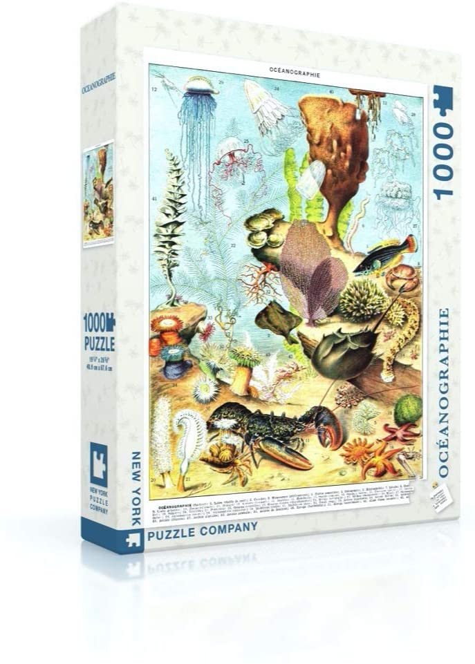 Océanographie by Vintage Images – 1000 Piece Jigsaw Puzzle (New York Puzzle Company)