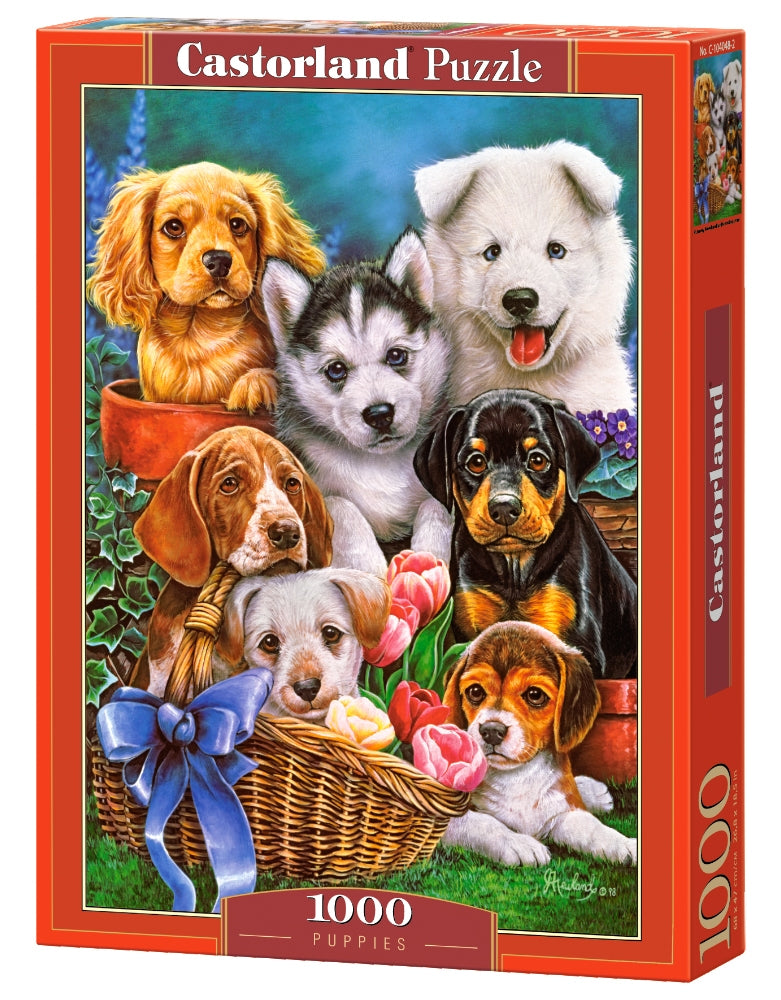 Puppies – 1000 Piece Jigsaw Puzzle (Castorland)