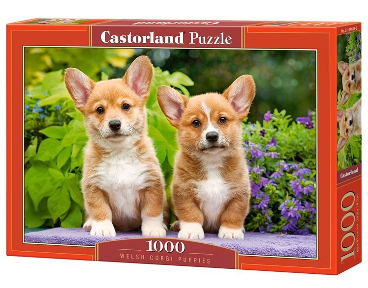 Castorland - Welsh Corgi Puppies - 1000 Piece Jigsaw Puzzle