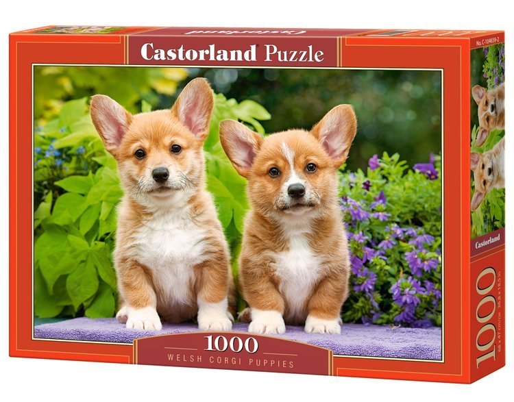 Welsh Corgi Puppies – 1000 Piece Jigsaw Puzzle (Castorland)