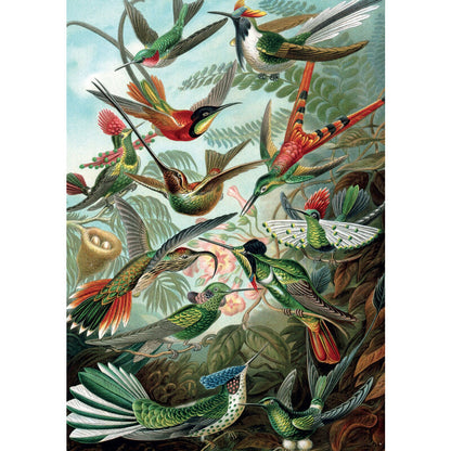 Piatnik - Ernest Haeckel - Hummingbirds - 1000 Piece Jigsaw Puzzle