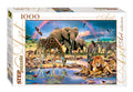 Step Puzzle 79090Savanna