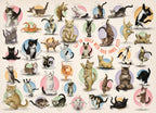 Yoga Kittens – 500 Piece Jigsaw Puzzle (Eurographics)